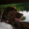  WATCHING THE BIRDIE  - In hide on Sprotbrough Flash  - DONCASTER  - SOUTH YORKSHIRE