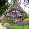 May in Shrivenham, Oxfordshire