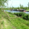 River Trent, Wychnor, Staffordshire