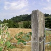Fence post in the way of Box Hill, Dorking, Surrey