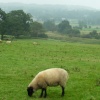 Tyne River Valley, Chesters Roman Fort, Northumberland