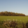 Near Welby church looking towards Ab Kettleby, Leicestershire.