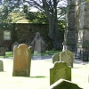 A picture of Alston
