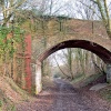 The Downslink footpath at Rudgwick, West Sussex.