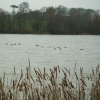 Stanford Reservoir, Leicestershire