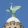 A picture of Liverpool