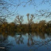 London River Thames, Leg o' Mutton Nature Reserve, Barnes, in early winter light.