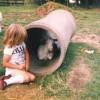 A picture of Sundown Kiddies Adventureland