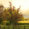 Yelden (Yielden) - After the Storm October 2004