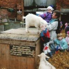 A picture of The White Post Farm Centre