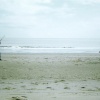 A game of cricket on Skegness beach. -  - 
