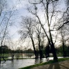 Oxford Christchurch meadow River Cherwell close to flooding.