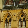 A picture of University Museum of Natural History
