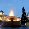 Greater London. Awaiting the Lighting of the Norwegian Christmas Tree, Trafalgar Square
