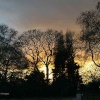 The sun setting over the Buckingham Palace Garden (London!)