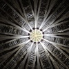 Dovecote roof at Minster Lovell Hall, Minster Lovell, Oxfordshire.