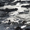 Birling Gap, East Sussex.