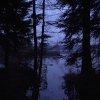 A picture of Delamere Forest Park