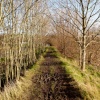 Along the river Ouse from the Pells up to Hamsey. East Sussex.