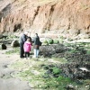 Beach at Filey, North Yorkshire in 1996. Full of interesting things. - 
