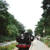 Steam Train in Norfolk.