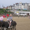 Donkey ride on South Beach, Bridlington, East Riding of Yorkshire.