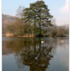 Rydal Water Grasmere, Cumbria.