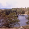 Logging at Tarn Hows near Coniston, Cumbria.