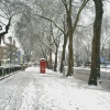 Looking down Stamford Hill. - 8.2.2007.