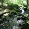 Country walks, Healey Dell, Whitworth, Lancashire