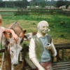 A picture of Sundown Kiddies Adventureland