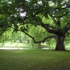 Audley End, Saffron Walden, Essex