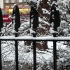 A snowy morning in London