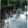 A lake in Suffolk in autumn near Holkham Hall