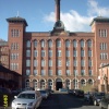 A picture of Reddish