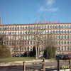A picture of Reddish