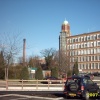 A picture of Reddish