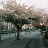 Mall, Newport, Isle of Wight.