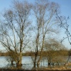 Pitsford Water, Northants