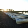 Pitsford Water, Northants