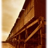 A picture of Frinton-on-Sea