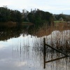Looking towards Beaulieu House, Beaulieu, Hampshire