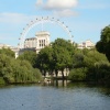 A view of the London Eye from St. James's Park, London.