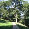 Auckland Park, Bishop Auckland, Durham