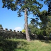 Auckland Castle Park, Bishop Auckland, Durham
