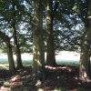 Auckland Park, Bishop Auckland, Durham