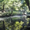 Auckland Castle Park, Bishop Auckland, Durham