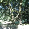 Auckland Park, Bishop Auckland, Durham