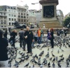 Trafalgar Square, London