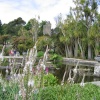 Port Logan Gardens, Port Logan, Dumfries & Galloway